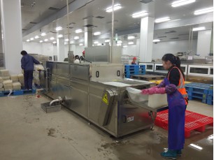 料筐噴淋清洗機(jī)